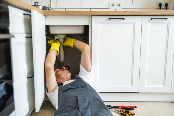 Best Affordable Plumber Near Me  in , IN